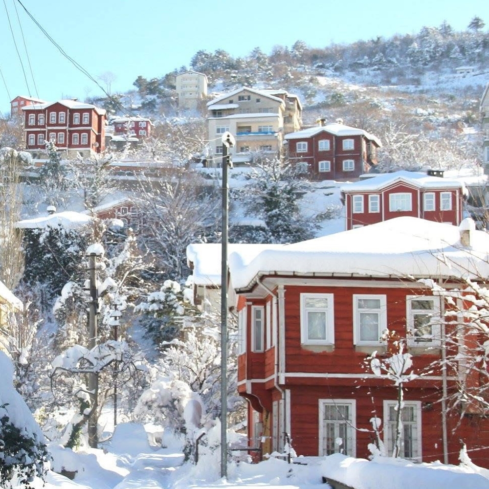 Inebolu Yapay Zeka Sor (2)