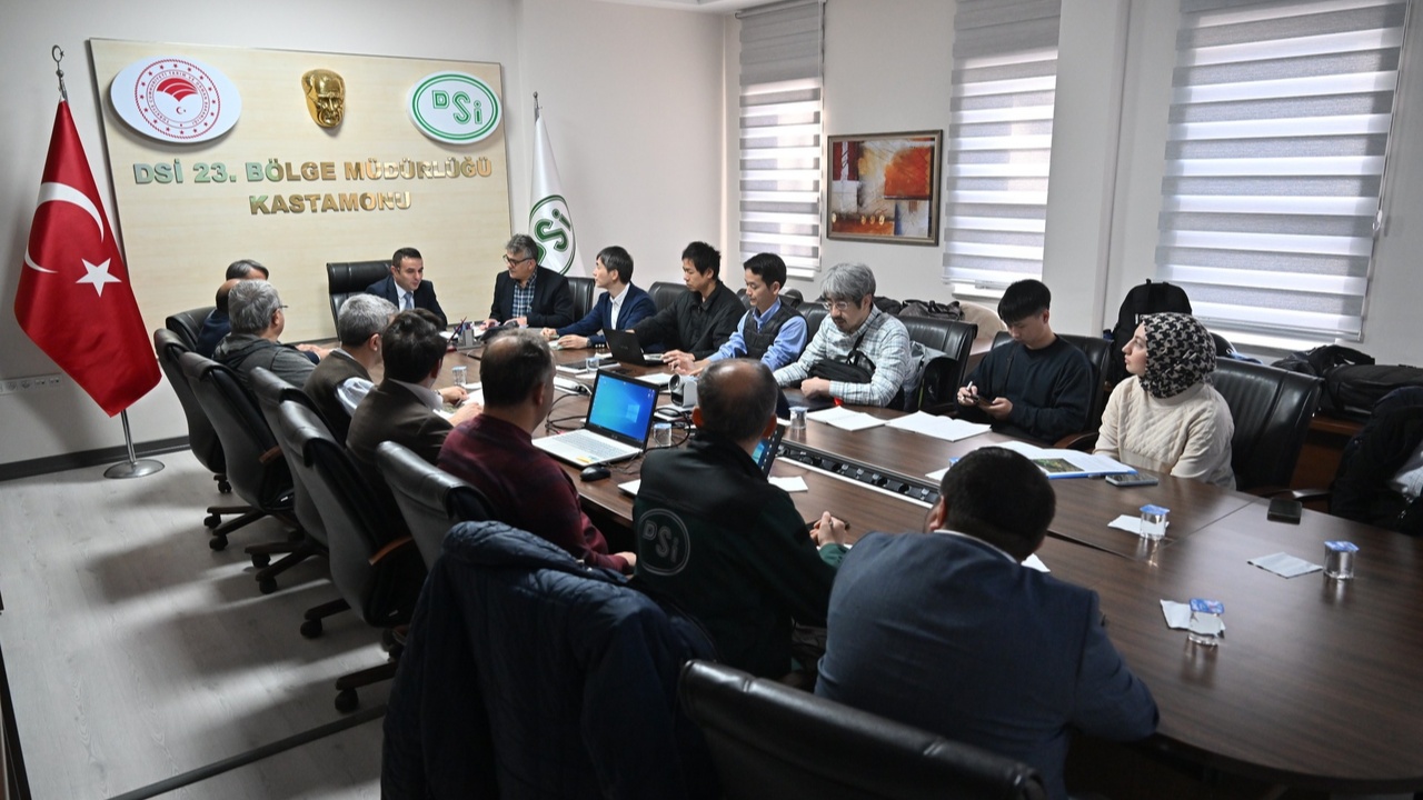 Japonya Taşköprü (10)