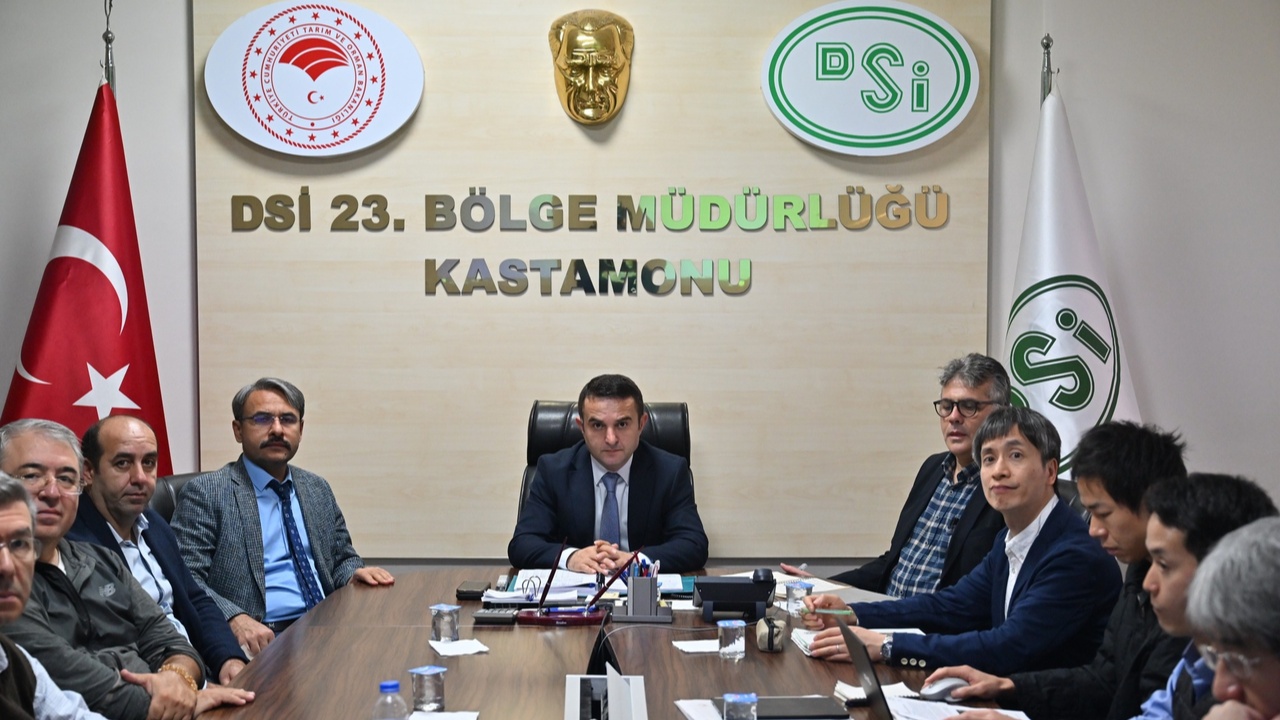 Japonya Taşköprü (11)