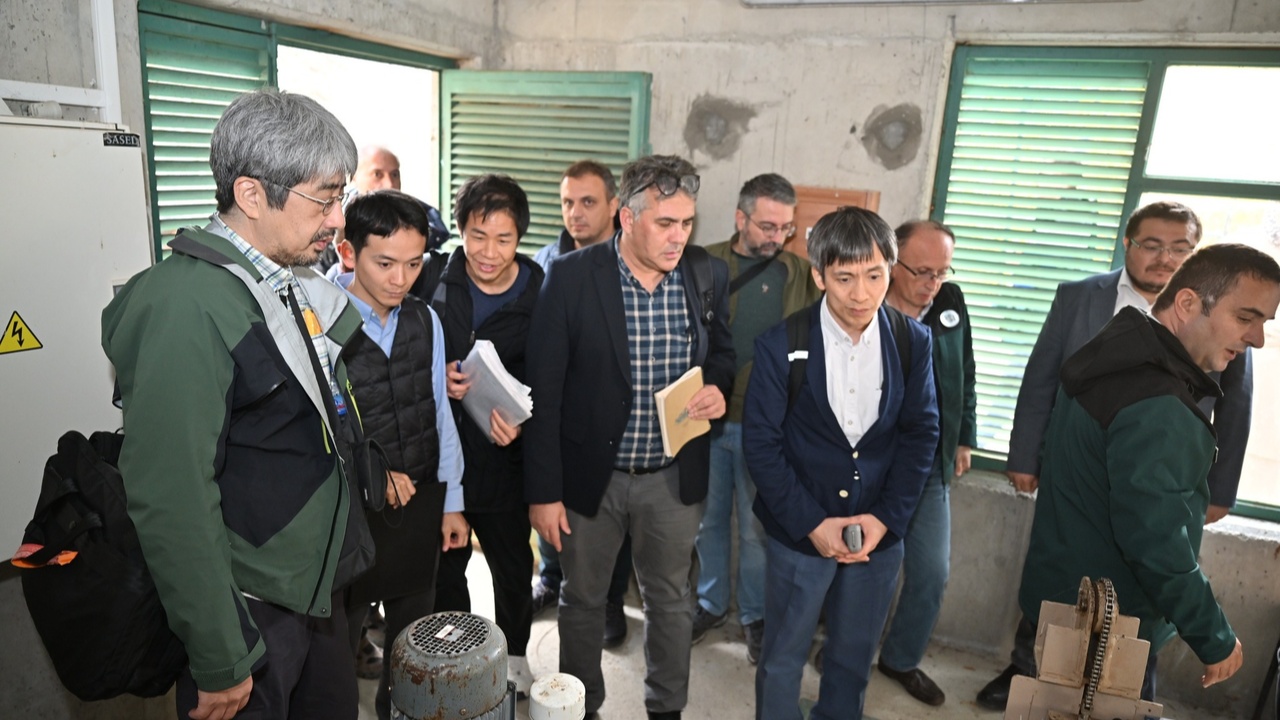 Japonya Taşköprü (2)