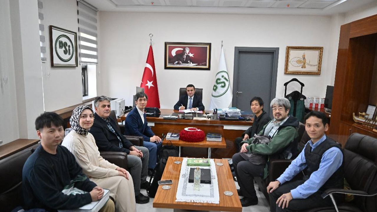 Japonya Taşköprü (3)