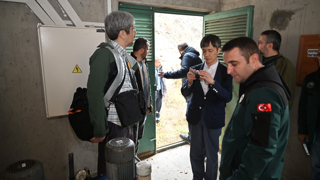 Japonya Taşköprü (4)