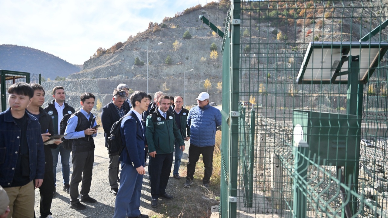 Japonya Taşköprü (6)