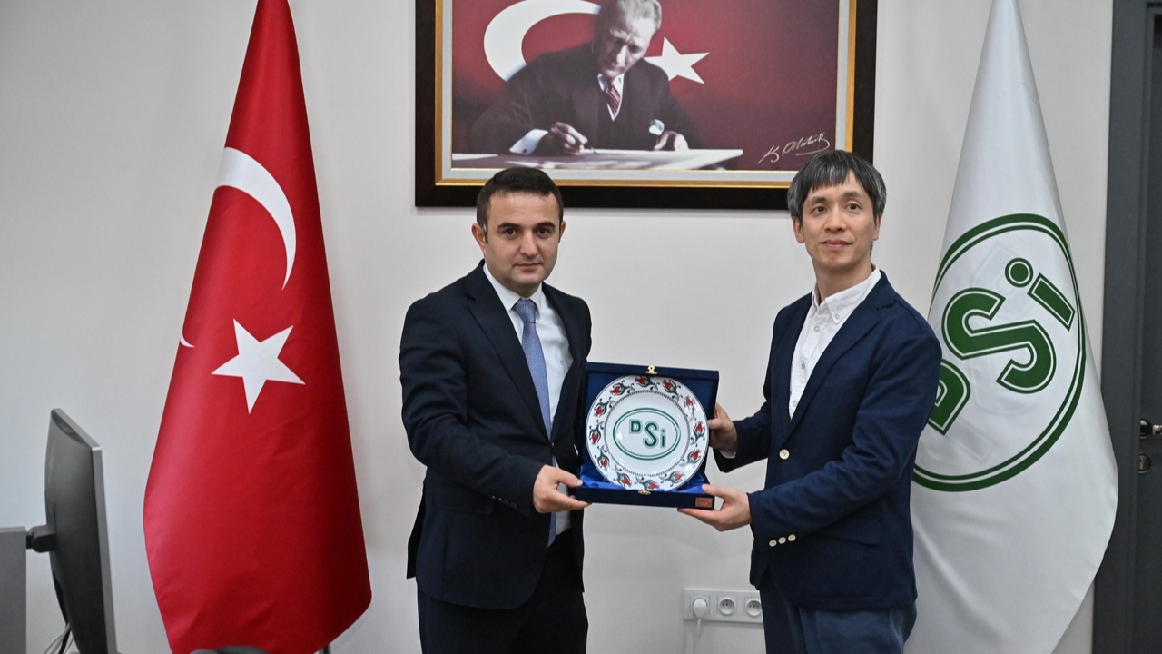 Japonya Taşköprü (7)