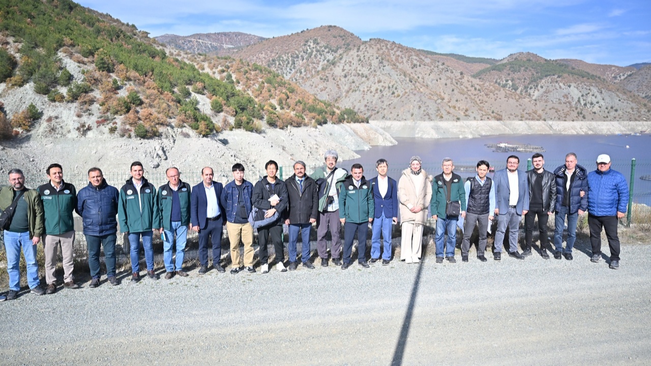 Japonya Taşköprü (8)