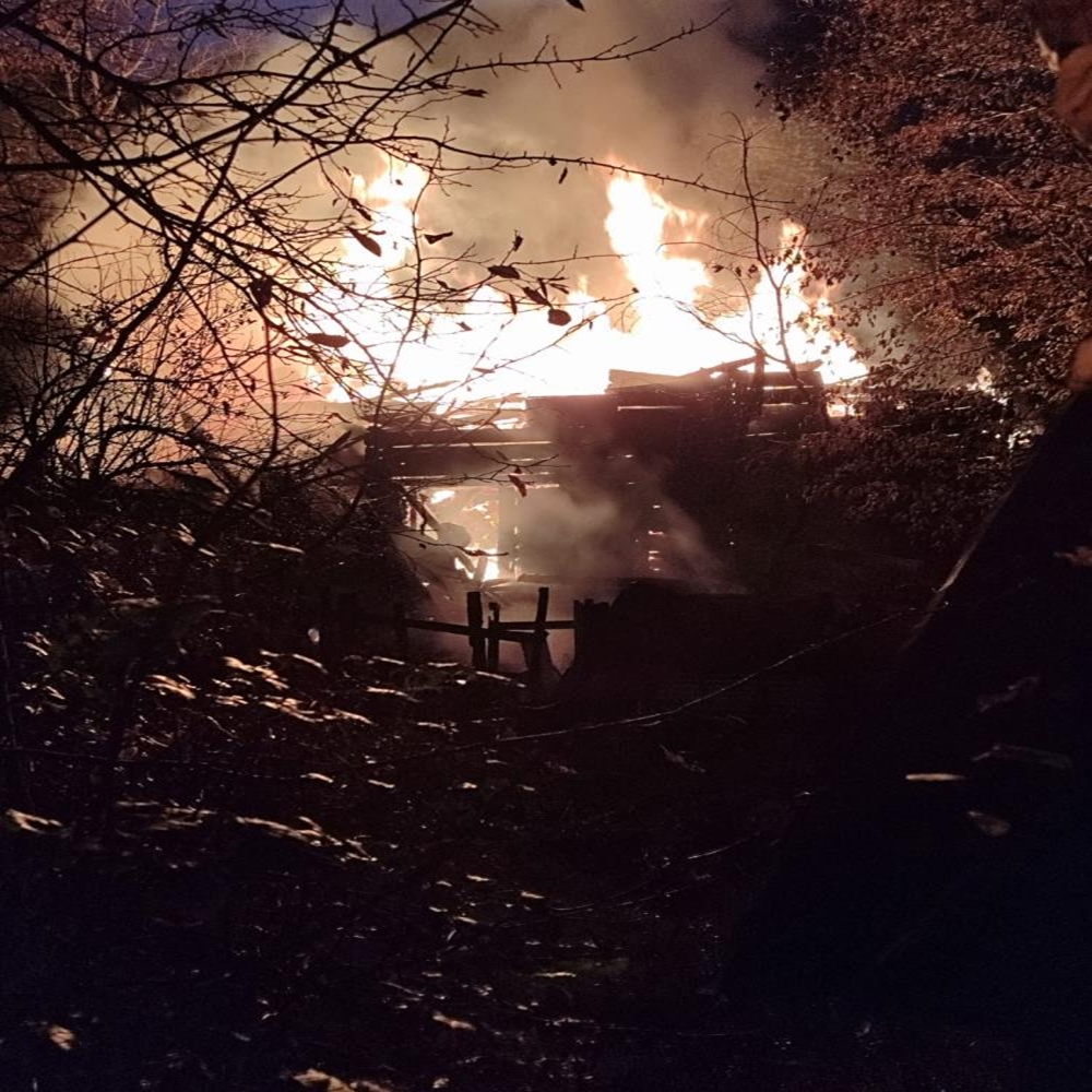 Karabük Yenice Yangın (3)