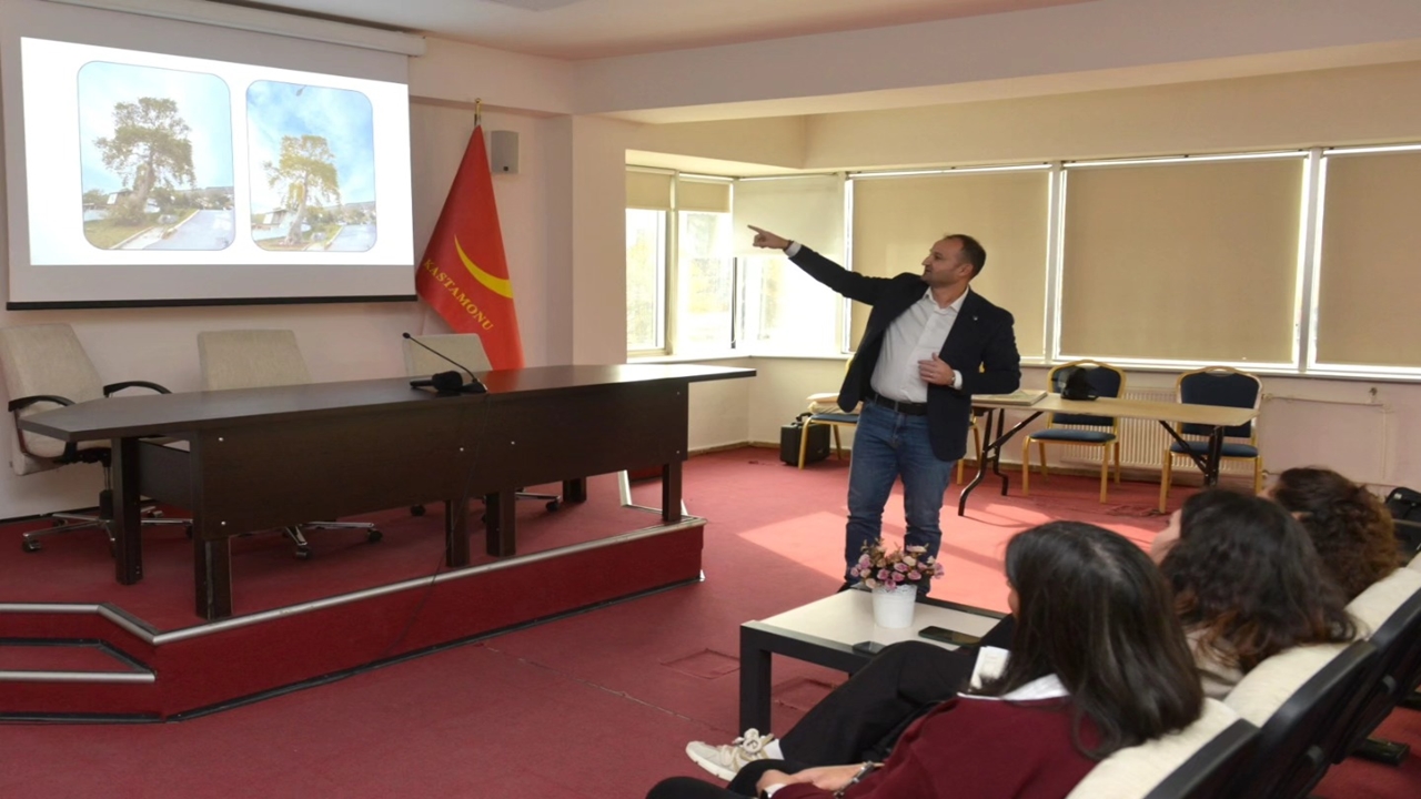 Kastamonu Çınar Ağaçları Kurtarma (2)