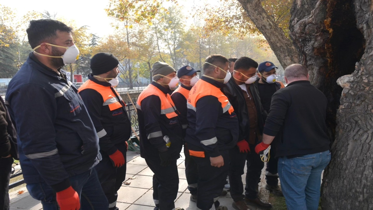 Kastamonu Çınar Ağaçları Kurtarma (6)