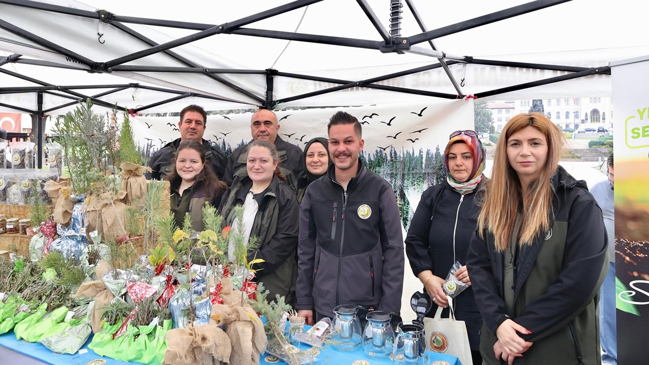 Kastamonu Fidan Dağıtımı (1)