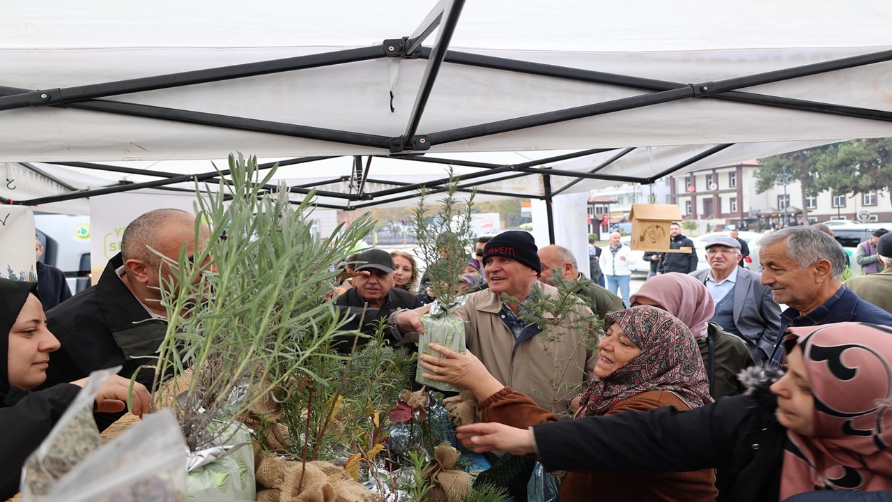 Kastamonu Fidan Dağıtımı (2)