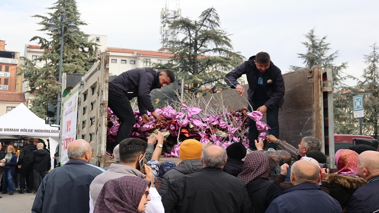 Kastamonu Fidan Dağıtımı (3)