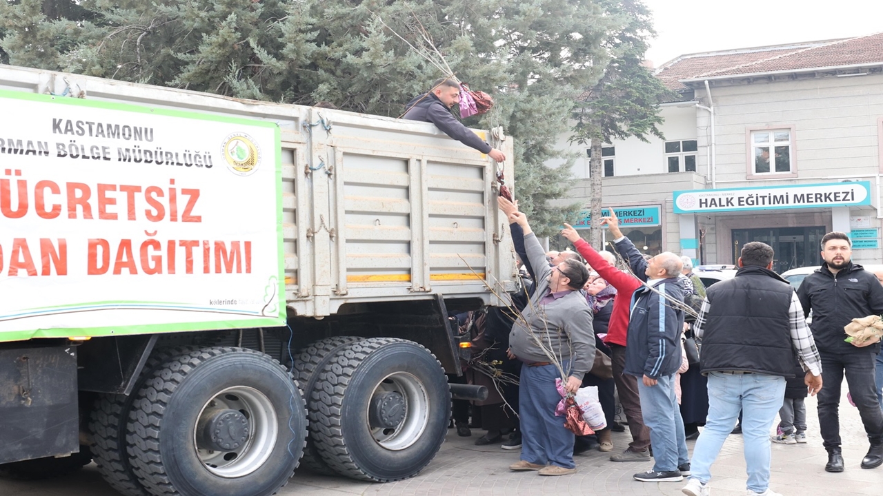 Kastamonu Fidan Dağıtımı (4)