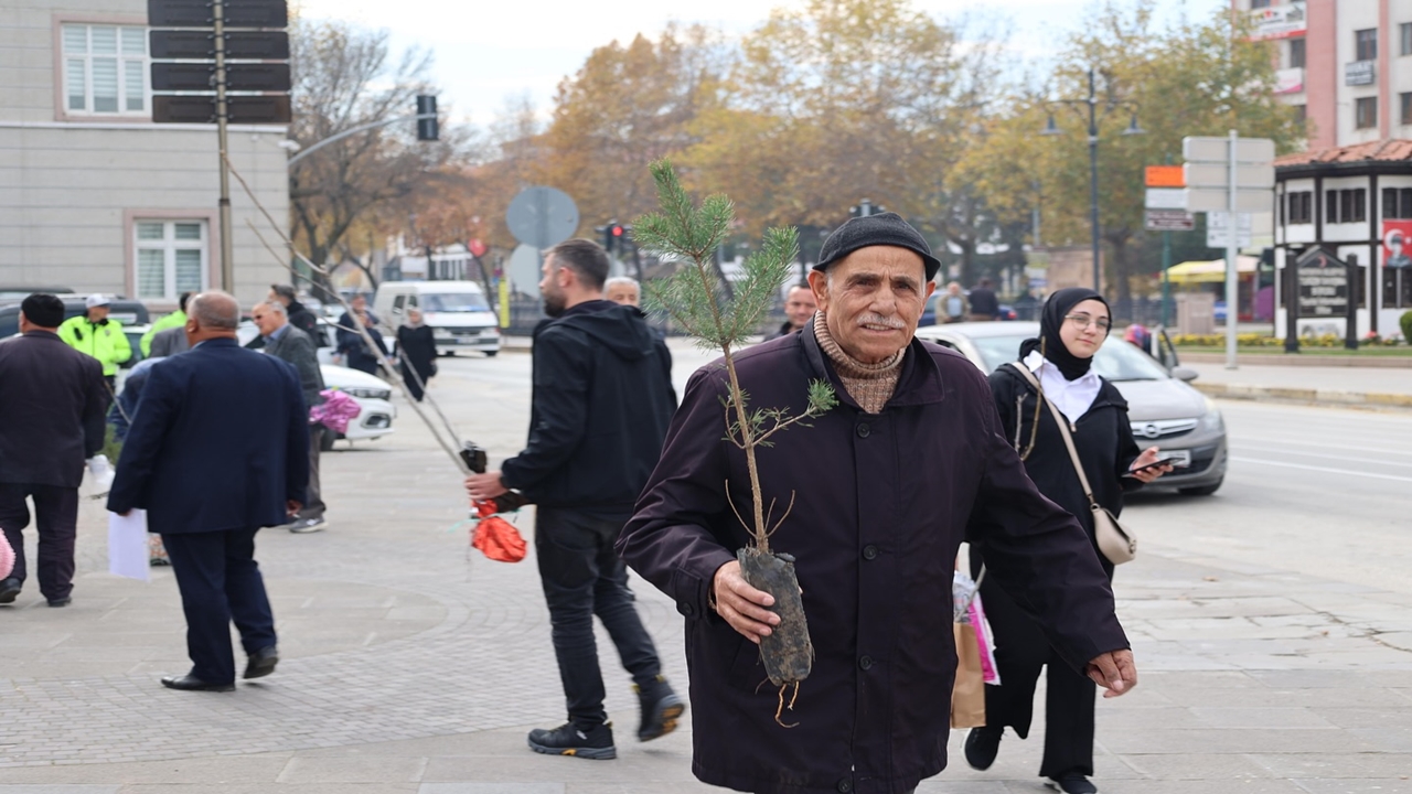 Kastamonu Fidan Dağıtımı (6)