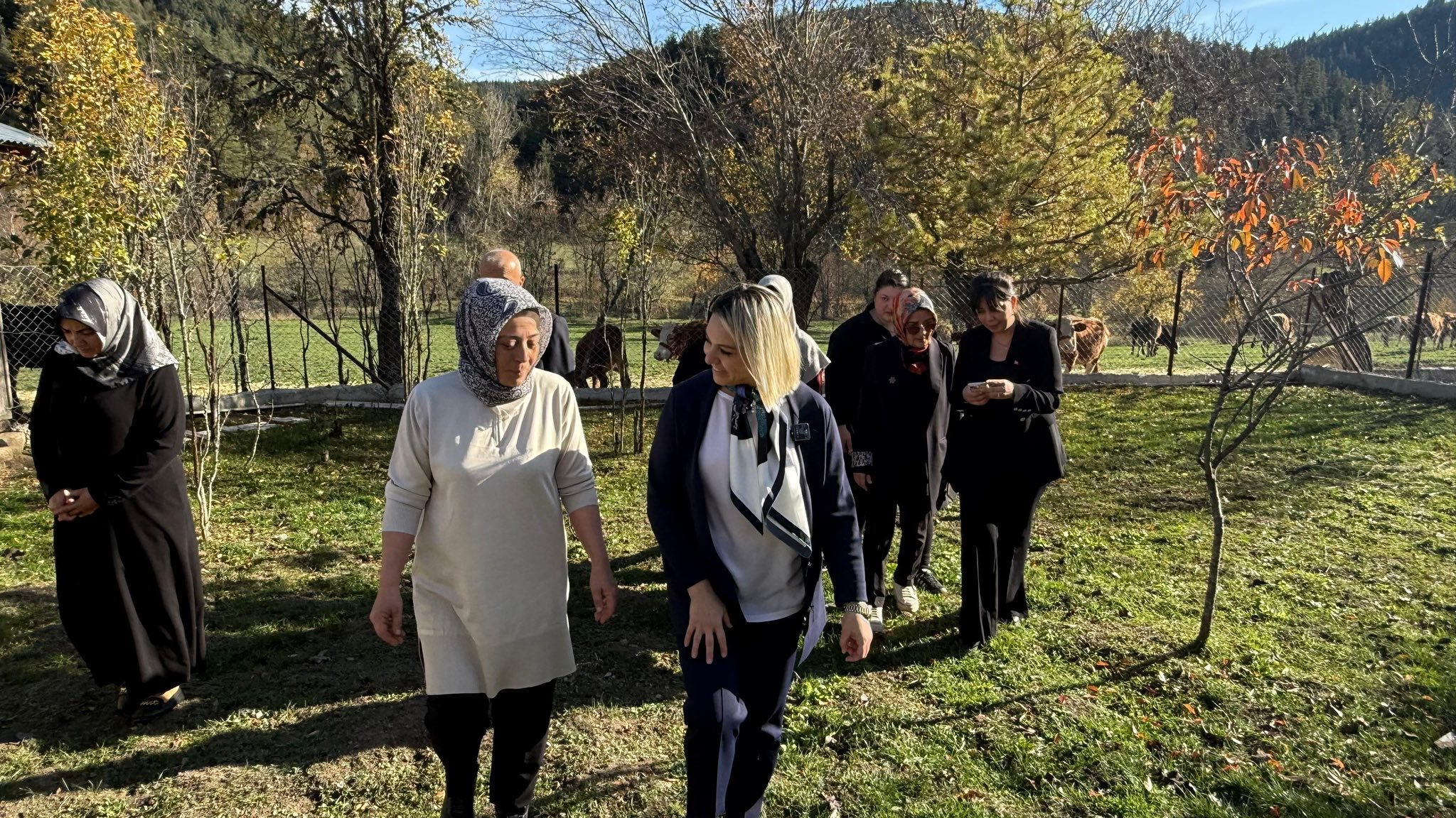 Kastamonu Küre Besici Serap (1)