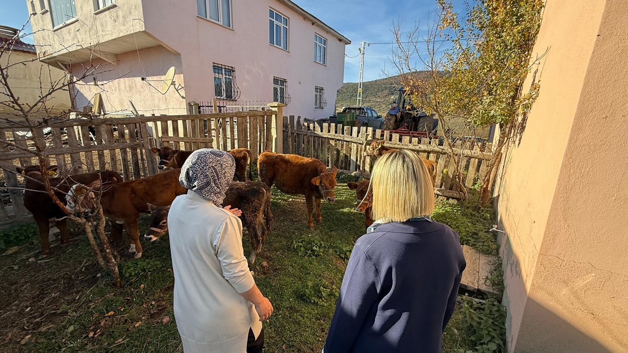 Kastamonu Küre Besici Serap (4)