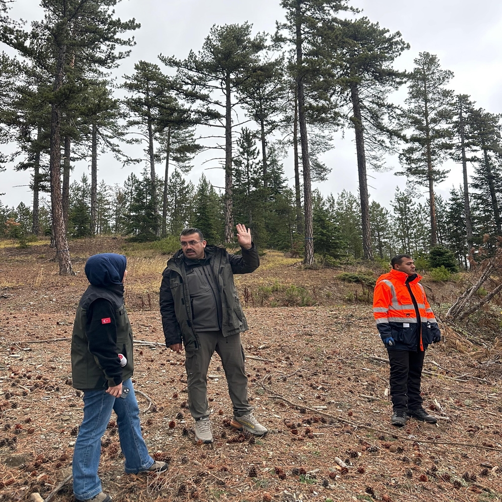 Kastamonu Orman Bölge Damgalama (1)