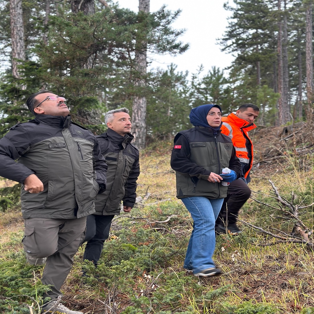 Kastamonu Orman Bölge Damgalama (3)