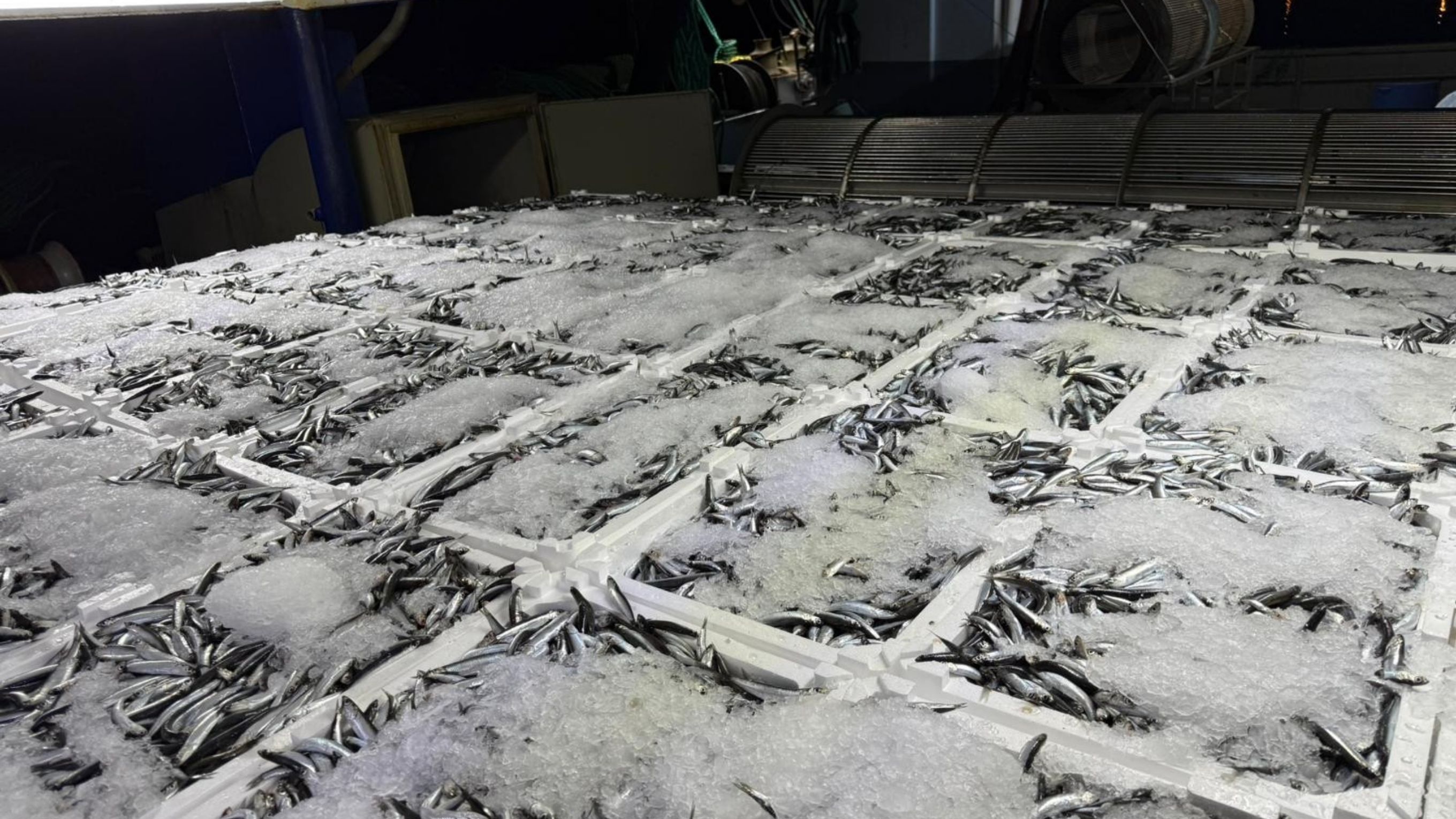 Kastamonu Sahilinde Denetleme Sürüyor (3)