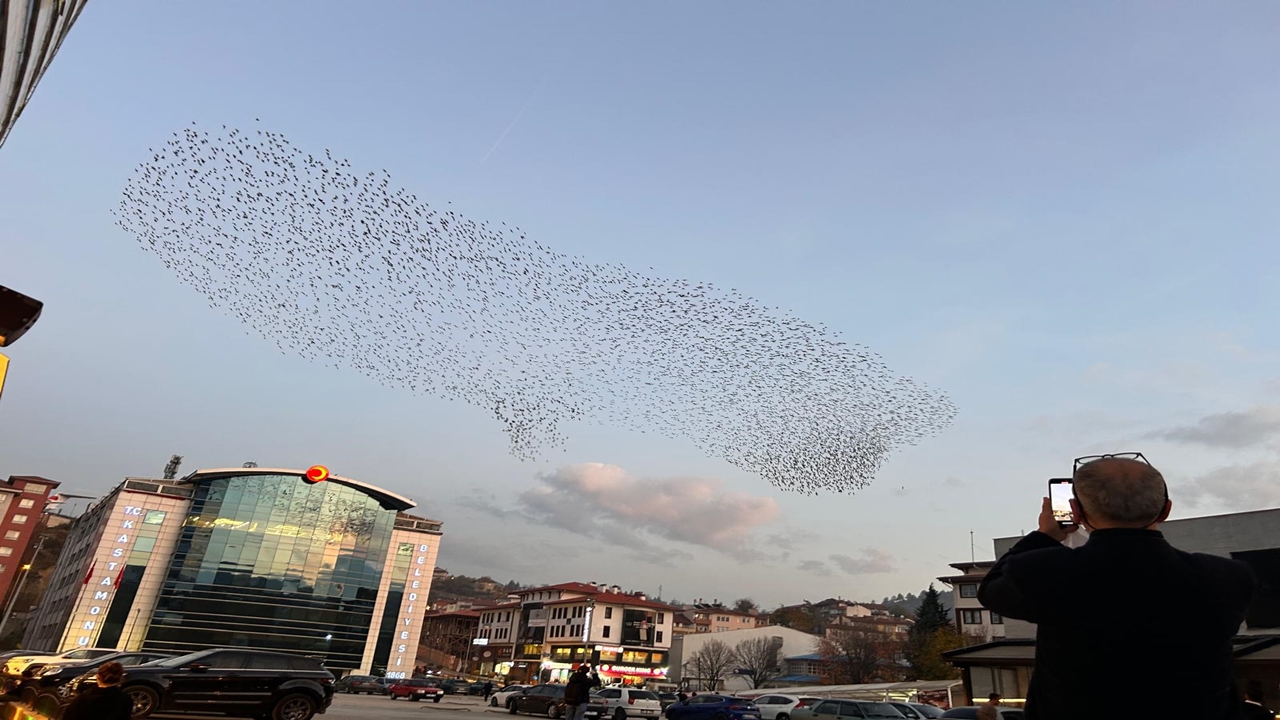 Kastamonu Sığırcık Dansı (2)