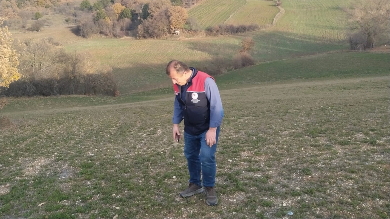 Kastamonu Tarım Arazi Inceleme (3)