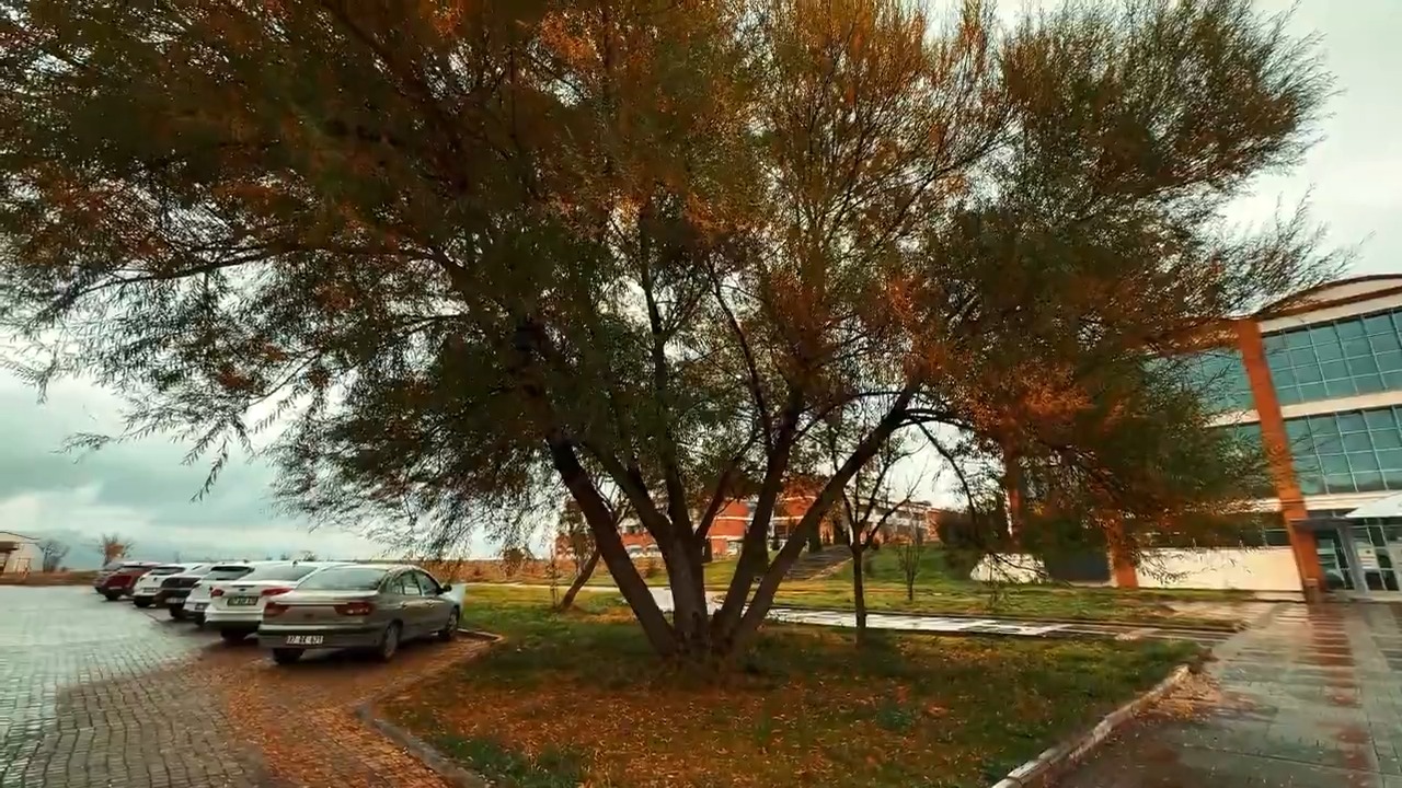 Kastamonu Üniversitesi Sonbahar Atmosferiyle Mest Etti 1