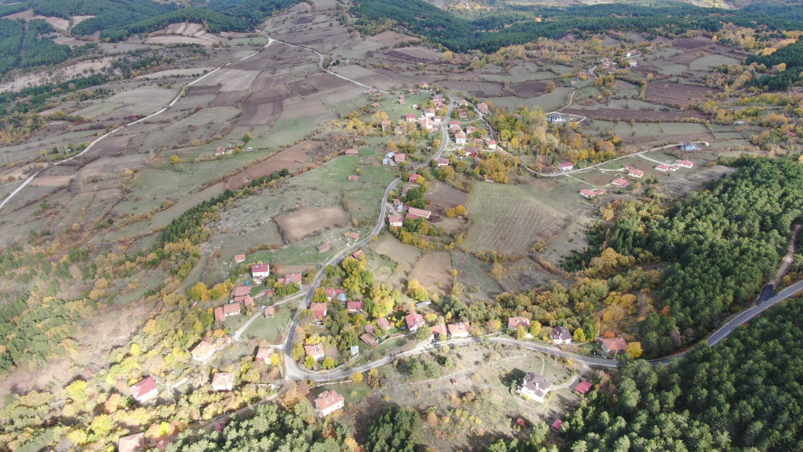 Kastamonu Yaylalarında Sis Ve Doğanın Buluşması Büyüledi 8