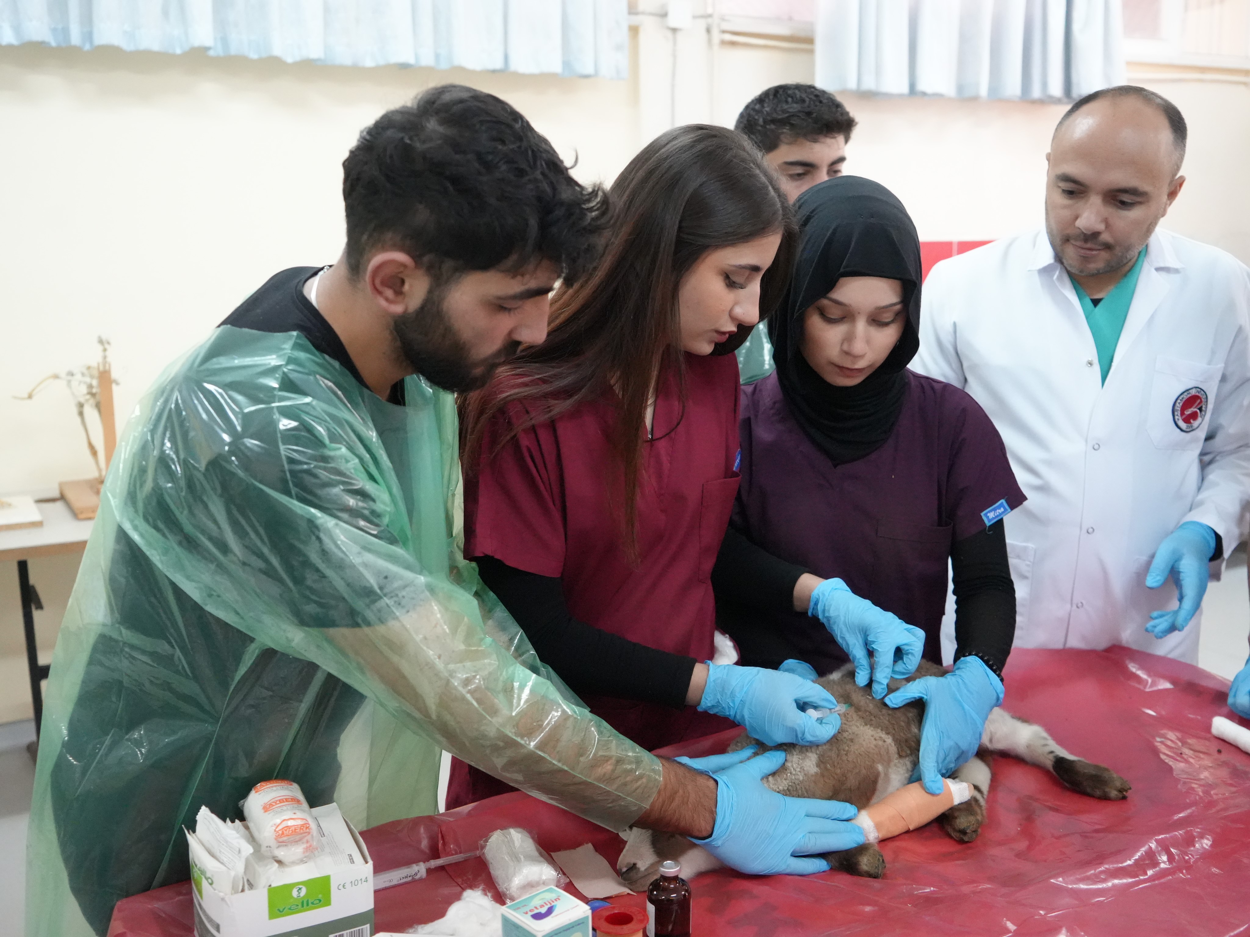 Kastamonu'da 13 Koyundan 24 Kuzu Doğdu! 6