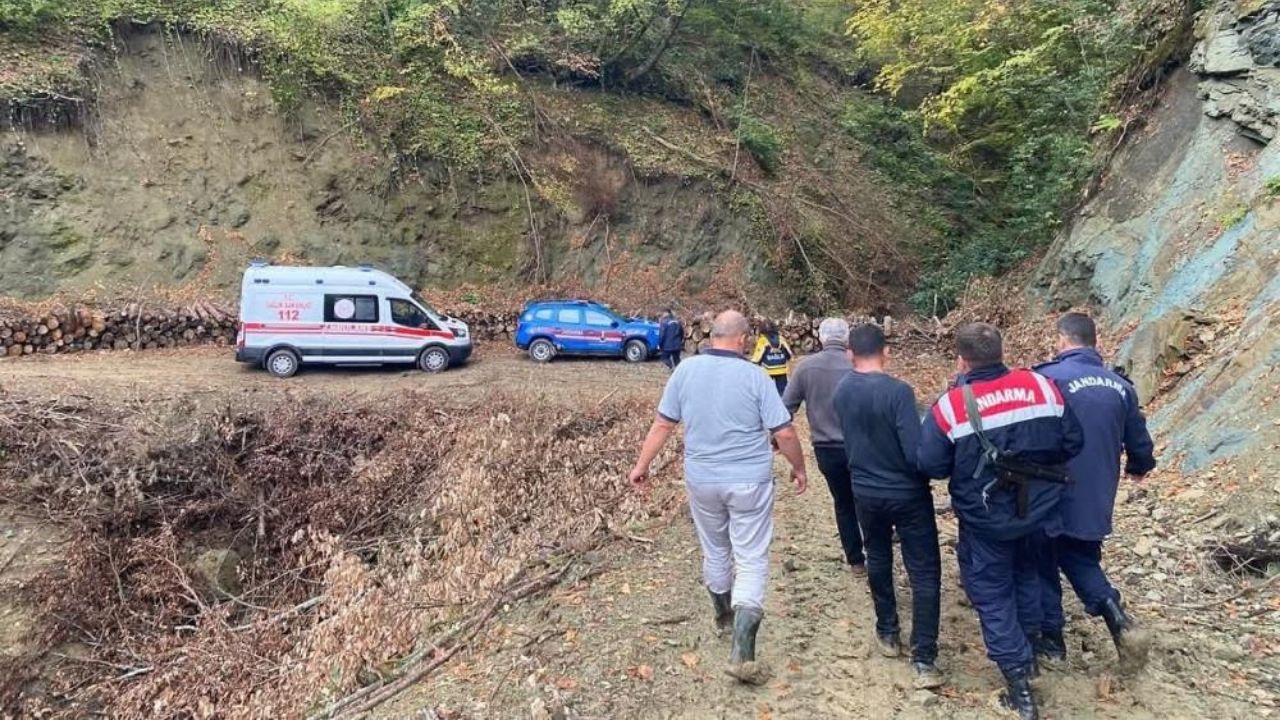 Kastamonu’da Ayı Saldırısı Ekipler Yaralıya Güçlükle Ulaştı (2)