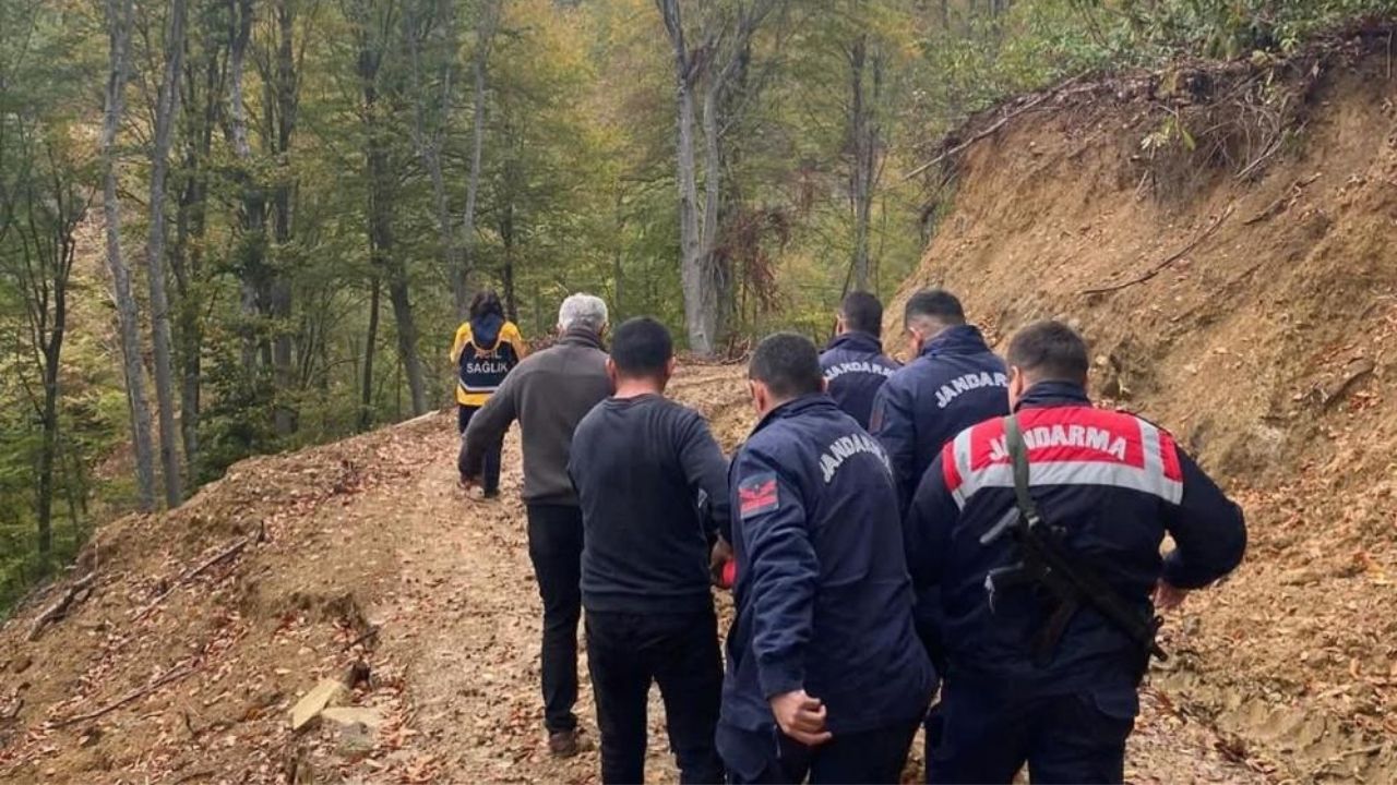 Kastamonu’da Ayı Saldırısı Ekipler Yaralıya Güçlükle Ulaştı (3)