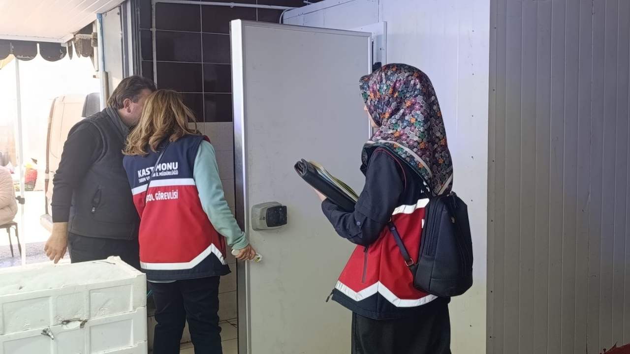 Kastamonu’da Balık Satış Yerlerinde Denetimler Sıkılaştı (2)