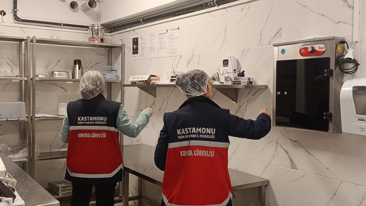 Kastamonu’da Balık Satış Yerlerinde Denetimler Sıkılaştı (3)