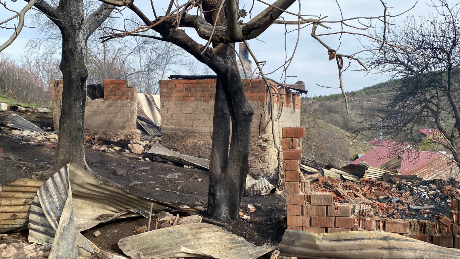 Kastamonu'da Feci Olay Alevlere Teslim Olan Evde Yanarak Yaşamını Yitirdi