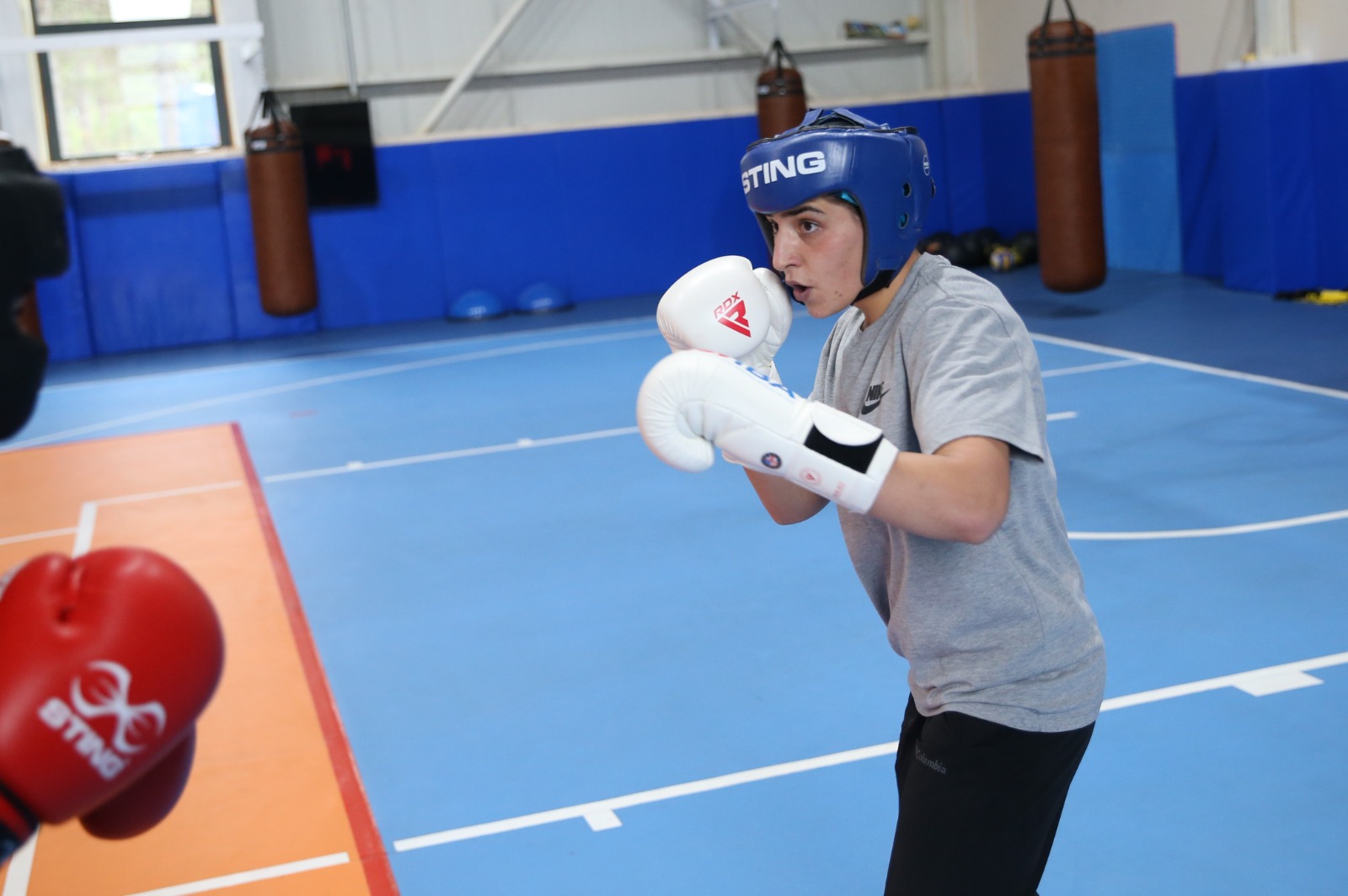 Kastamonu'da Hazırlanan Milli Boksörler Ringde Altın Madalya Hedefliyor 1