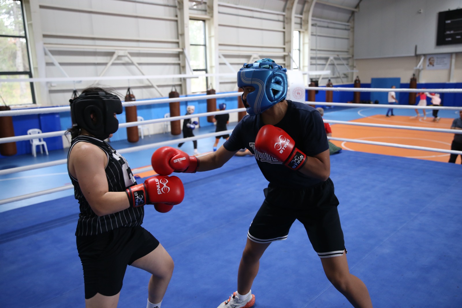 Kastamonu'da Hazırlanan Milli Boksörler Ringde Altın Madalya Hedefliyor 4