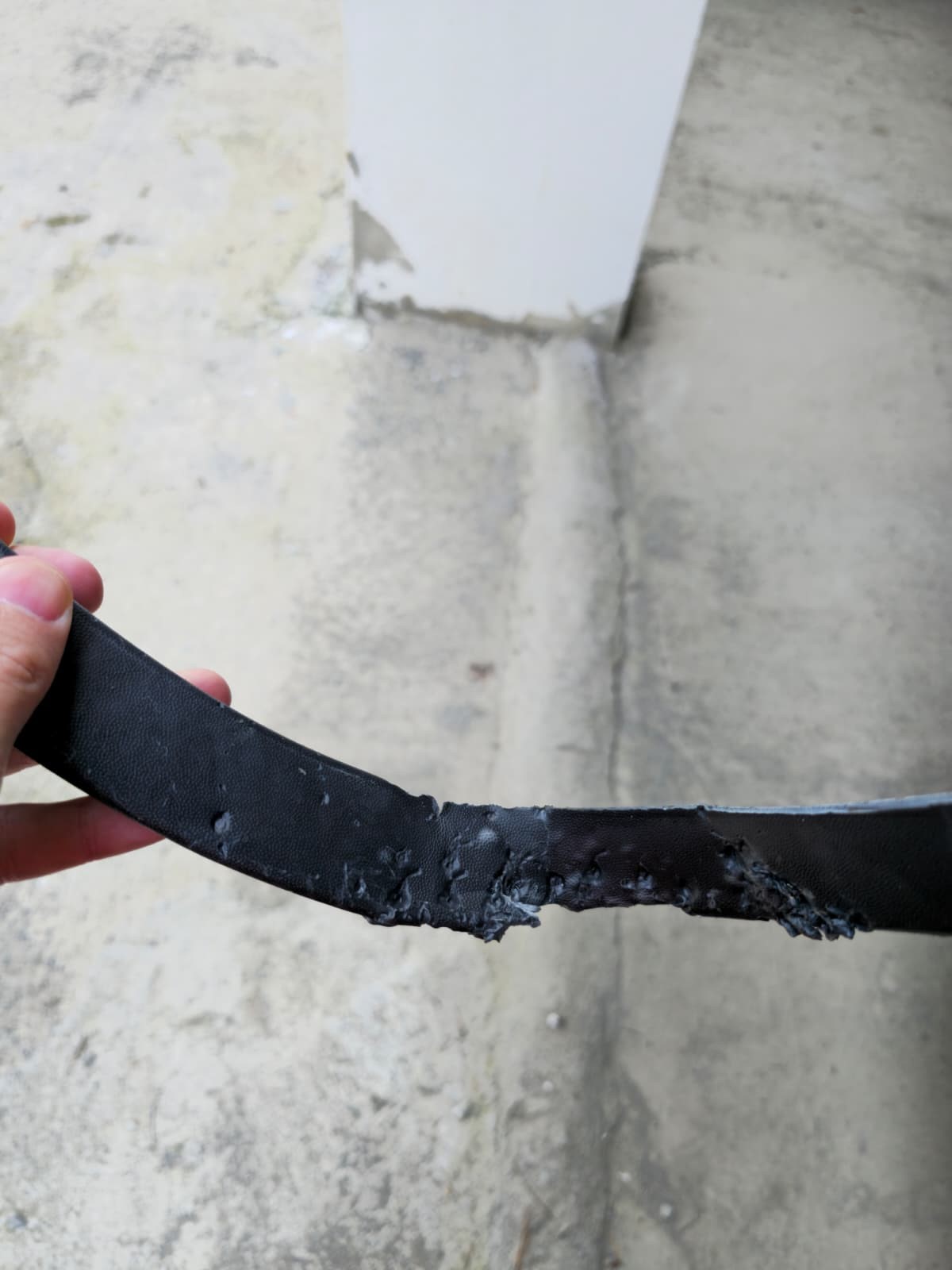 Kastamonu'da Ikinci Kez Mağdur Oldu! Köpekler Aracı Parçaladı O Anlar Kamerada! 2