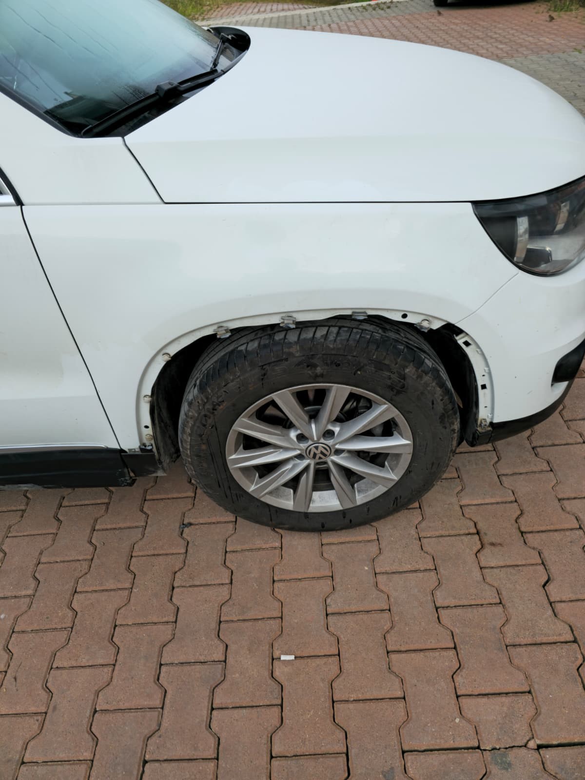 Kastamonu'da Ikinci Kez Mağdur Oldu! Köpekler Aracı Parçaladı O Anlar Kamerada! 3