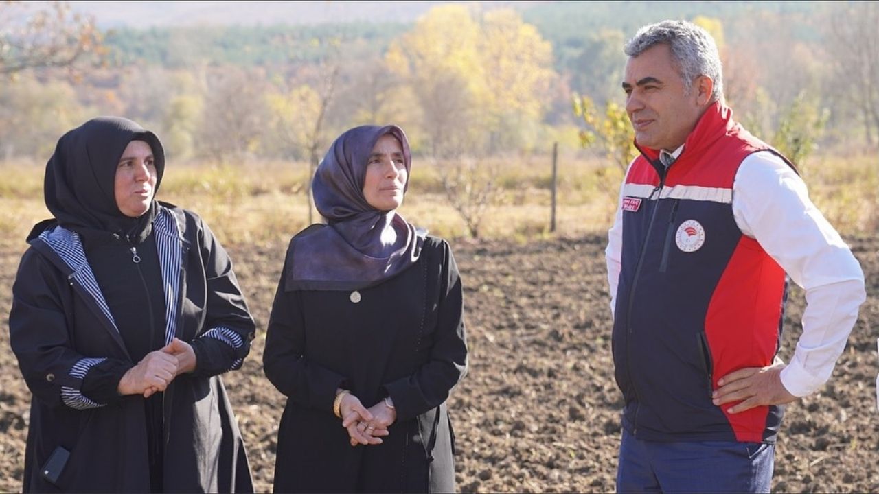 Kastamonu’da Kadınlara Güç Veren Proje 24 Bin Fide Dağıtımı Yapıldı (1)