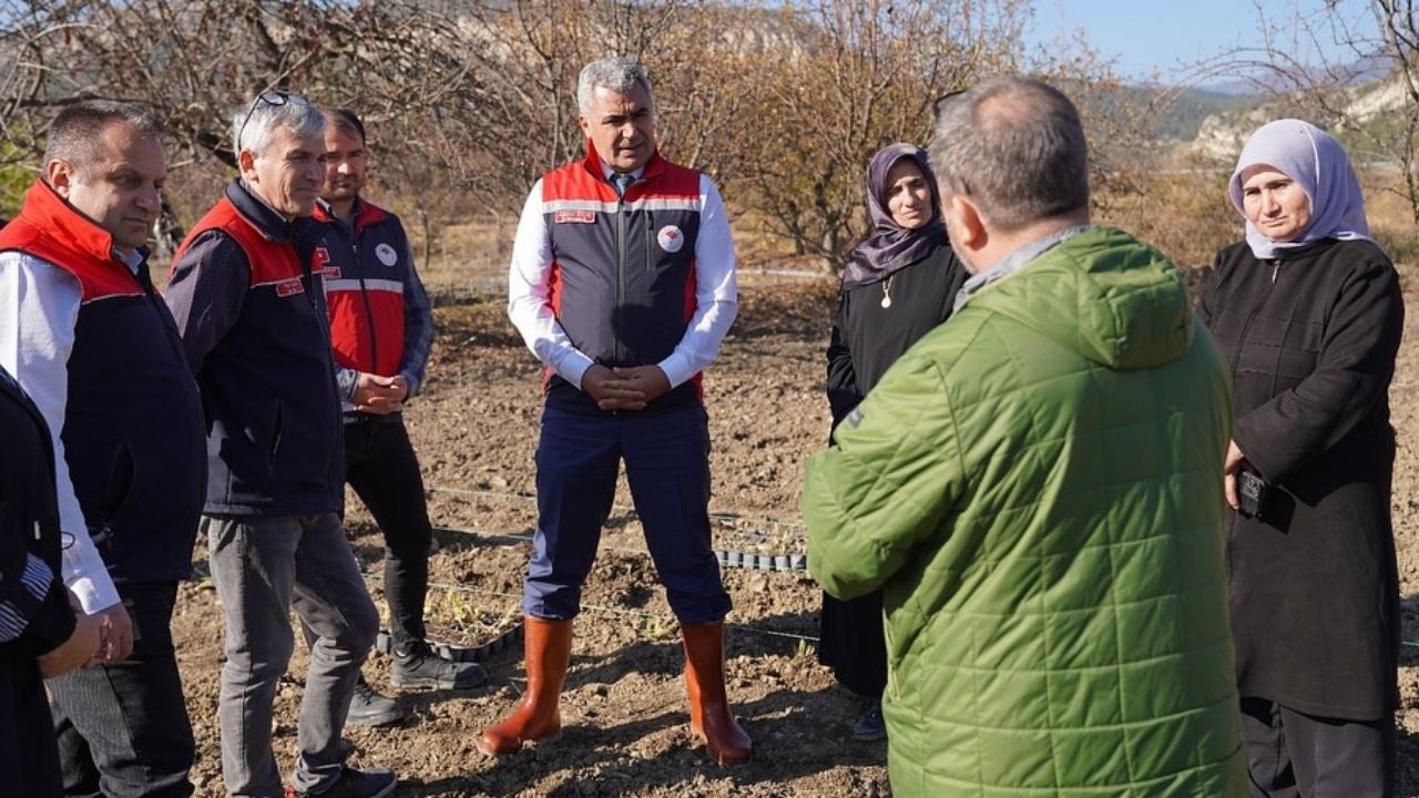 Kastamonu’da Kadınlara Güç Veren Proje 24 Bin Fide Dağıtımı Yapıldı (4)