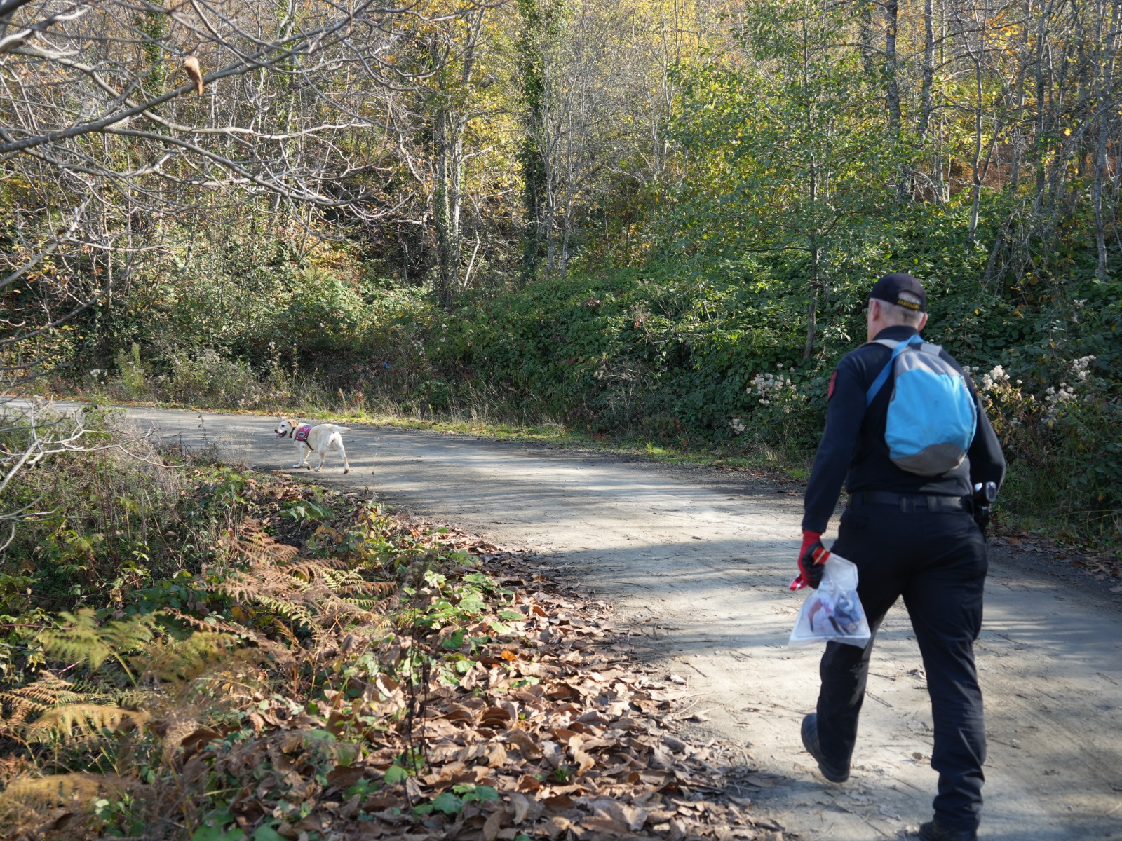 Kastamonu'da Kayıp Anne Ve Oğlunu Görenler Konuştu 'Mantar Toplamıyorlardı, Yolu Sordular' 1