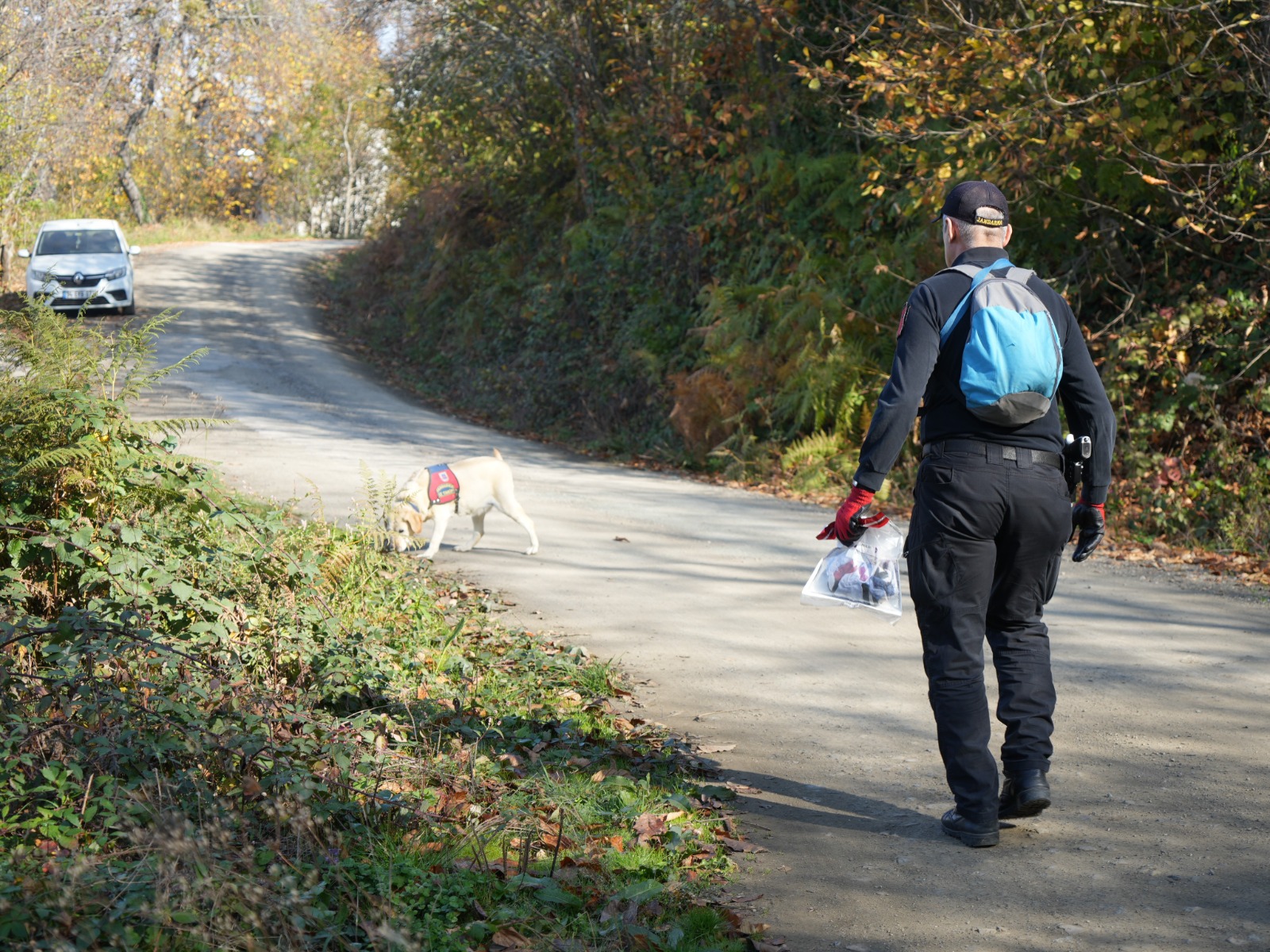 Kastamonu'da Kayıp Anne Ve Oğlunu Görenler Konuştu 'Mantar Toplamıyorlardı, Yolu Sordular' 4