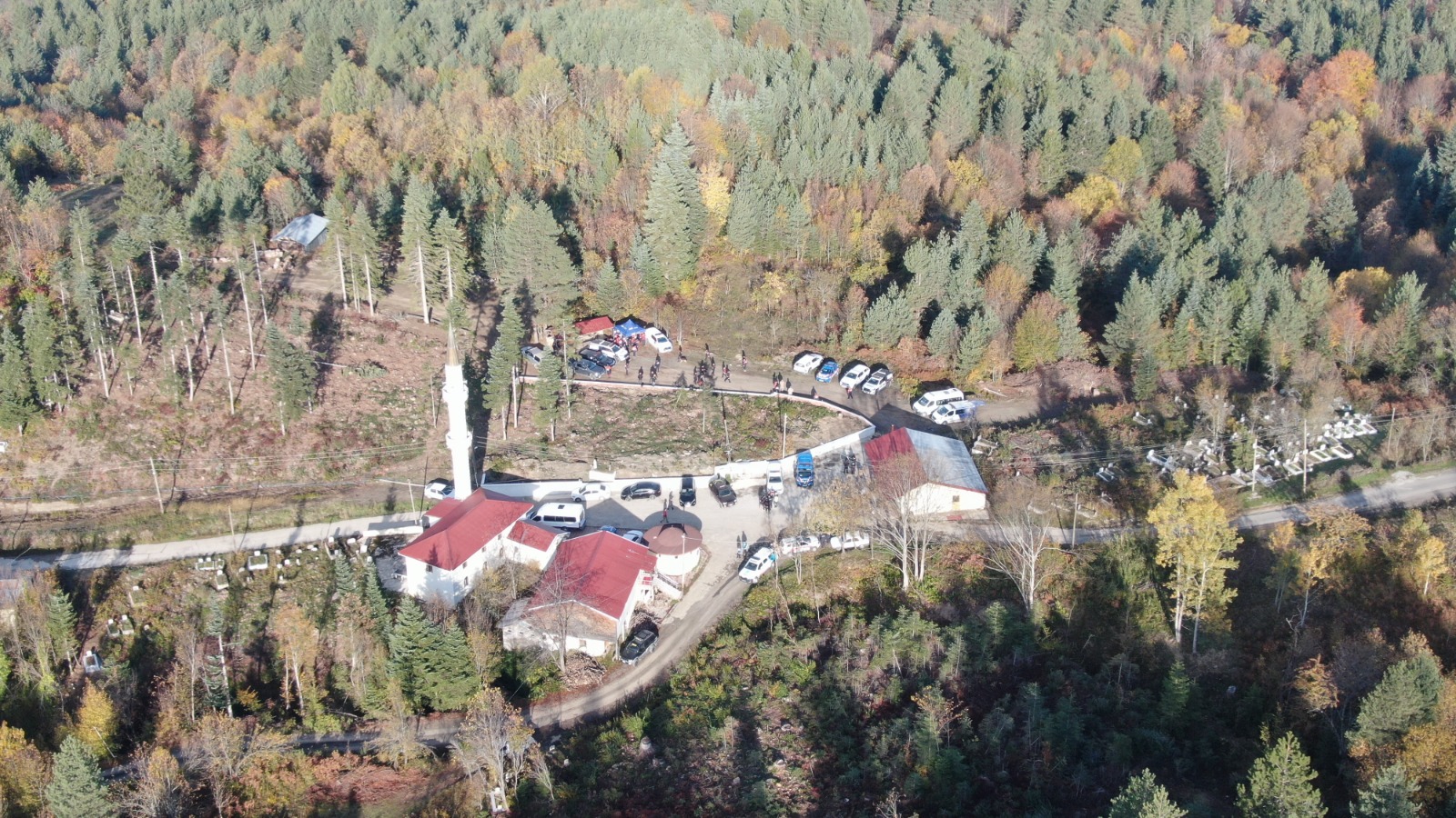 Kastamonu'da Kayıp Anne Ve Oğlunu Görenler Konuştu 'Mantar Toplamıyorlardı, Yolu Sordular' 6