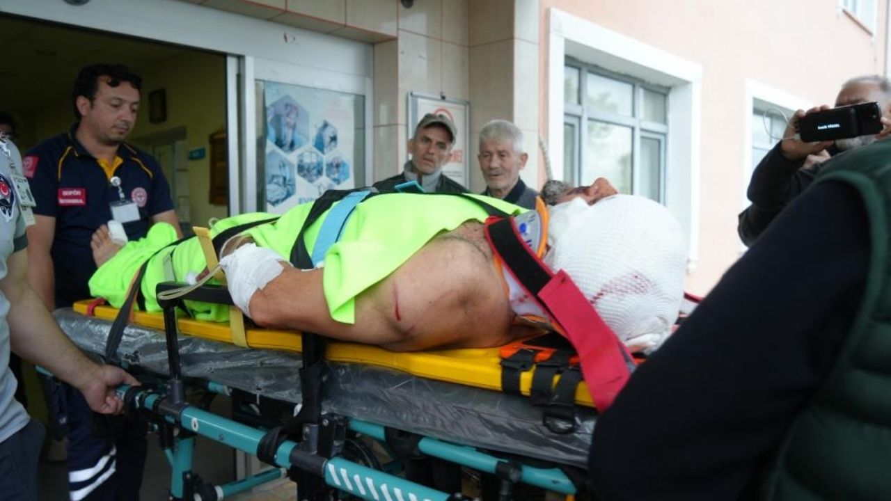 Kastamonu'da Mantar Toplarken Kabus Yaşadı İmam Ayı Saldırısında Yaralandı (1)