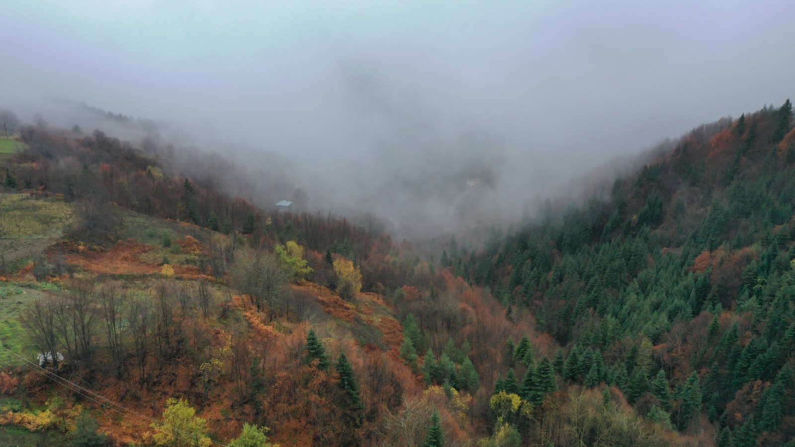 Kastamonu'da Sonbaharın Renkleri Sisle Birleşti 1