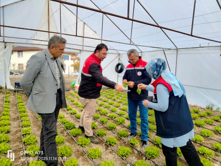 Kastamonu'nun Ilçesindeki Seralarda Denetim Yapıldı 2