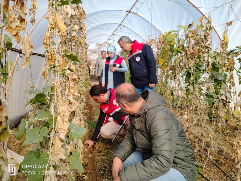 Kastamonu'nun Ilçesindeki Seralarda Denetim Yapıldı 22