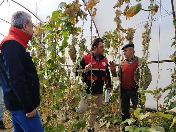 Kastamonu'nun Ilçesindeki Seralarda Denetim Yapıldı 4
