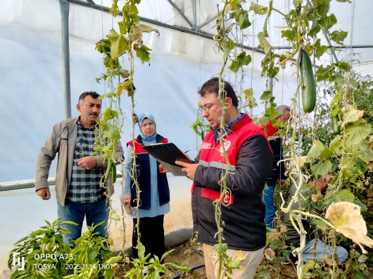Kastamonu'nun Ilçesindeki Seralarda Denetim Yapıldı 44