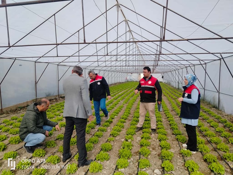 Kastamonu'nun Ilçesindeki Seralarda Denetim Yapıldı