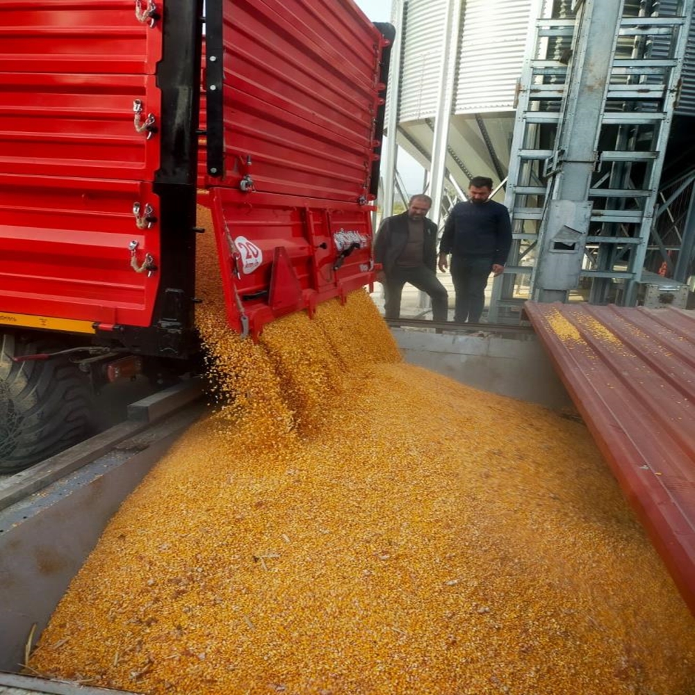 Kuzka Taşköprü Emerce (8)