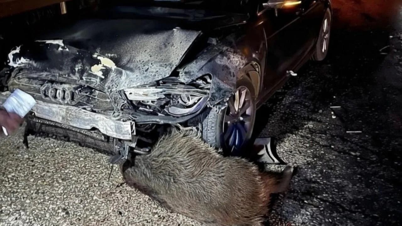 Metin Gürbüz Kaza (1)